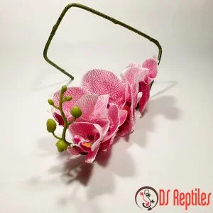 Dekorativni elementi